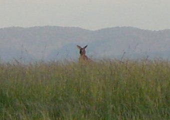 [AɌꂽE@E@߂ÂƁ@iNbNIj